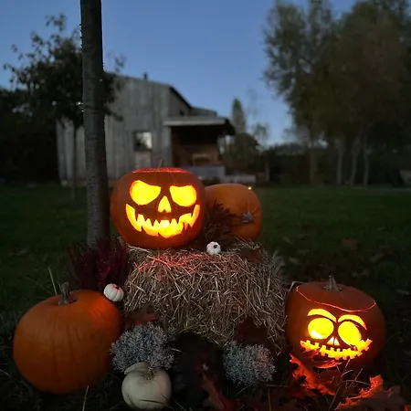 Salixa U Podebrad Parque de Campismo