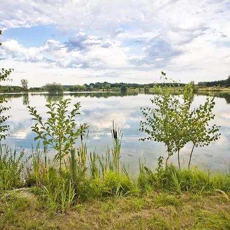 Salixa U Poděbrad Poděbrady